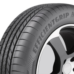 245/45R19 102Y Goodyear Efficientgrip